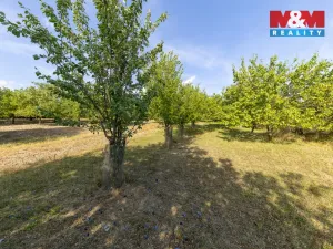 Prodej pole, Židlochovice, 4295 m2