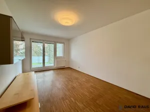 Pronájem bytu 2+kk, Brno - Lesná, Haškova, 80 m2