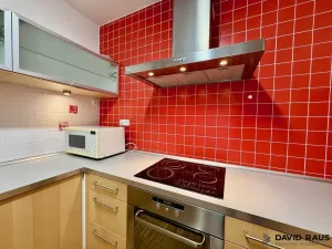 Pronájem bytu 2+kk, Brno - Lesná, Haškova, 80 m2