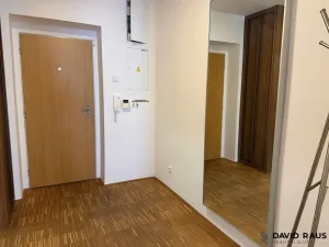 Pronájem bytu 2+kk, Brno - Lesná, Haškova, 80 m2