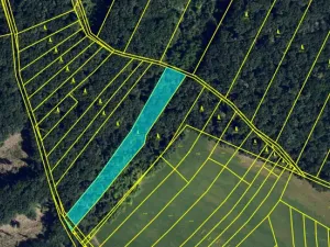 Prodej lesa, Silůvky, 3896 m2