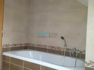 Pronájem bytu 1+kk, Rapotín, Družstevní, 53 m2