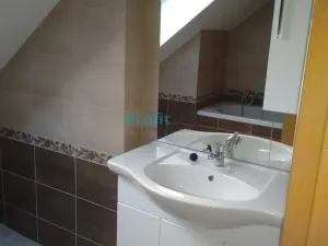 Pronájem bytu 1+kk, Rapotín, Družstevní, 53 m2