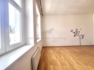 Pronájem bytu 3+kk, Praha - Žižkov, Chlumova, 80 m2