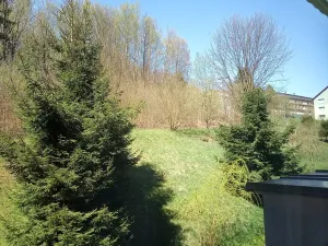 Prodej bytu 3+1, Velké Hamry, 75 m2