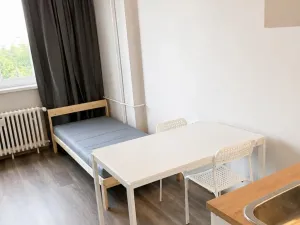 Pronájem bytu 1+kk, Praha - Střížkov, Děčínská, 26 m2
