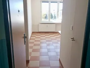 Pronájem bytu 1+1, Sokolov, Kosmonautů, 38 m2