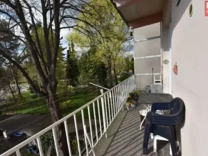 Prodej bytu 5+1, Olomouc, Polská, 179 m2