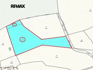 Prodej pozemku pro bydlení, Borová, 5776 m2