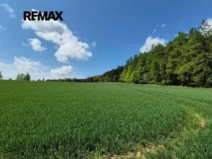 Prodej pozemku pro bydlení, Borová, 5776 m2