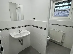 Pronájem komerčního pozemku, Malotice, 350 m2