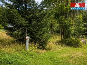 Prodej zahrady, Tanvald - Šumburk nad Desnou, 607 m2