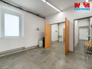 Pronájem výrobních prostor, Albrechtice, 98 m2