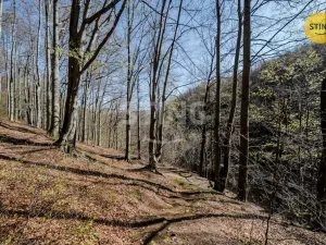 Prodej chaty, Komorní Lhotka, 62 m2