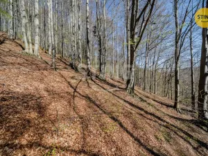 Prodej chaty, Komorní Lhotka, 62 m2