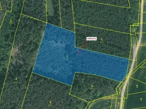 Dražba lesa, Milavče, 9168 m2