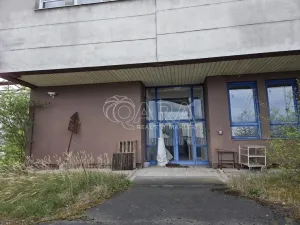 Pronájem obchodního prostoru, Přelouč, Jaselská, 10000 m2