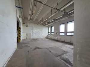 Pronájem obchodního prostoru, Přelouč, Jaselská, 10000 m2