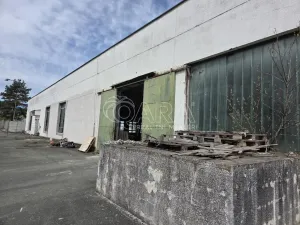 Pronájem obchodního prostoru, Přelouč, Jaselská, 10000 m2