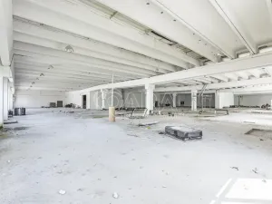 Pronájem obchodního prostoru, Přelouč, Jaselská, 10000 m2