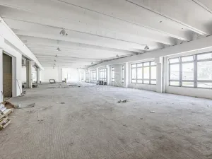 Pronájem obchodního prostoru, Přelouč, Jaselská, 10000 m2