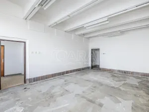 Pronájem obchodního prostoru, Přelouč, Jaselská, 10000 m2