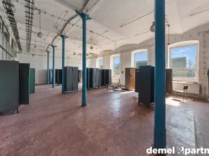 Prodej výrobních prostor, Světlá Hora - Světlá, 6500 m2