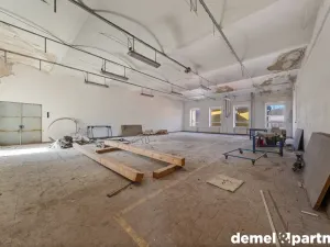 Prodej výrobních prostor, Světlá Hora - Světlá, 6500 m2