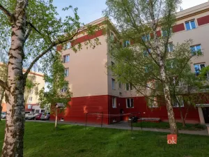 Pronájem bytu 3+kk, Plzeň - Východní Předměstí, Francouzská třída, 60 m2