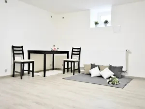 Pronájem bytu 1+1, Brno, Dykova, 39 m2