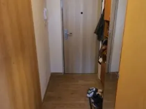 Pronájem bytu 1+1, Tachov, Želivského, 41 m2