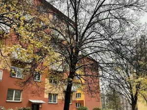 Pronájem bytu 1+kk, Ostrava - Poruba, Španielova, 31 m2