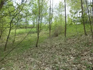 Prodej pozemku, Líšný - Líšný 2.díl, 1958 m2