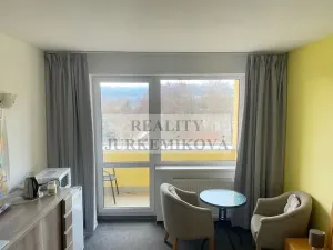 Pronájem bytu 1+kk, Frymburk, 30 m2