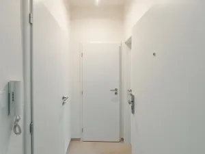 Pronájem bytu 1+kk, Praha - Michle, Hanusova, 28 m2