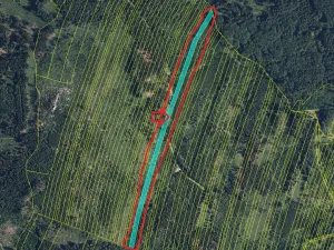 Prodej podílu lesa, Nová Hradečná, 2498 m2