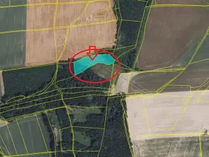 Prodej lesa, Vysoké Mýto, 5791 m2