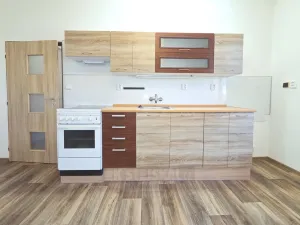 Pronájem bytu 2+kk, České Budějovice - České Budějovice 3, Pekárenská, 51 m2