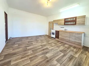 Pronájem bytu 2+kk, České Budějovice - České Budějovice 3, Pekárenská, 51 m2