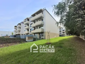 Pronájem bytu 1+kk, Olomouc - Neředín, Frištenského, 32 m2