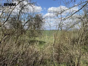 Prodej pozemku pro bydlení, Lično, 3131 m2