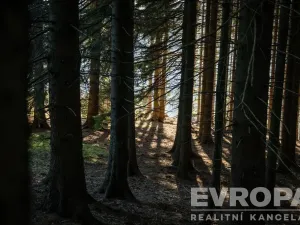Prodej rodinného domu, Harrachov - Ryžoviště, 279 m2