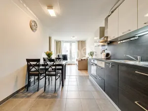 Prodej bytu 2+kk, Praha - Žižkov, Na Vackově, 53 m2