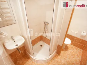 Pronájem bytu 1+1, České Budějovice - České Budějovice 3, J. Plachty, 38 m2