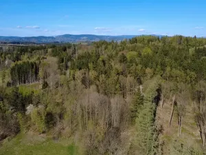 Prodej lesa, Loužnice, 5723 m2