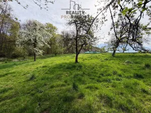 Prodej pozemku pro bydlení, Ostrava, Bémova, 2162 m2