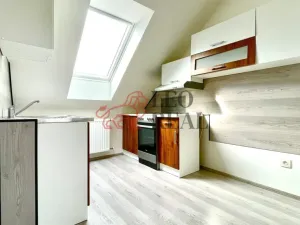 Pronájem bytu 1+1, Uherské Hradiště - Jarošov, Na Návsi, 20 m2