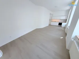 Pronájem bytu 4+kk, Praha - Žižkov, Chelčického, 118 m2