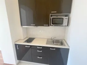 Pronájem bytu 1+kk, Praha - Nusle, Nuselská, 26 m2