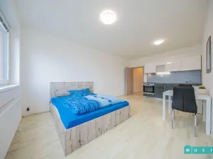 Pronájem bytu 1+kk, Olomouc - Řepčín, Aloise Rašína, 35 m2